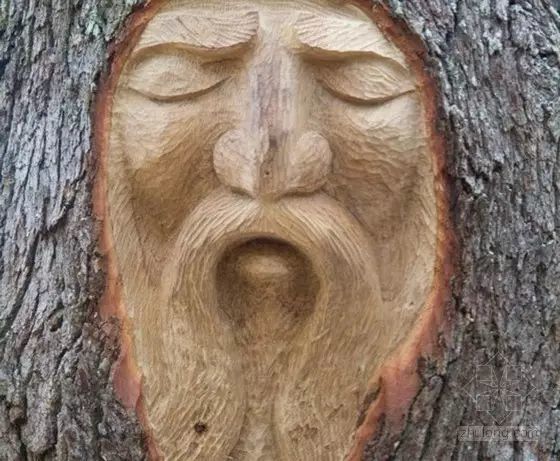 石雕|神奇的树雕艺术，大开眼界！