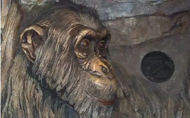 石雕|神奇的树雕艺术，大开眼界！