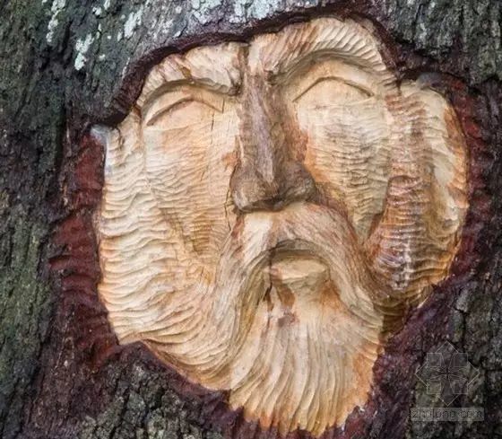 石雕|神奇的树雕艺术，大开眼界！