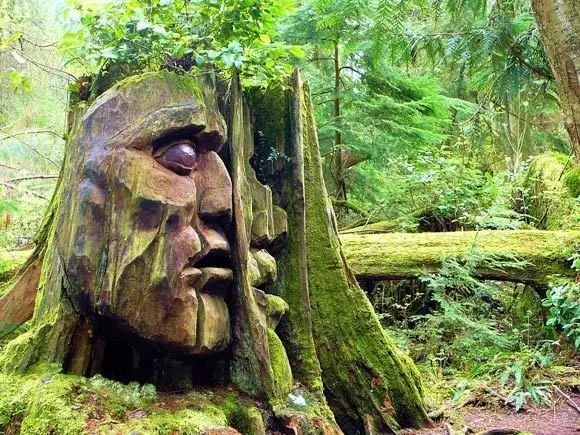 石雕|神奇的树雕艺术，大开眼界！