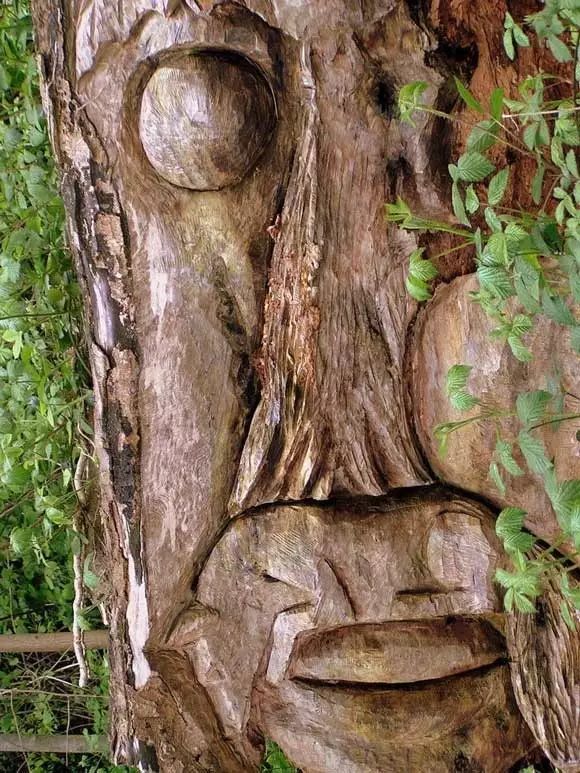 石雕|神奇的树雕艺术，大开眼界！