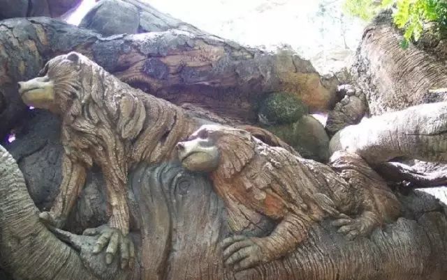 石雕|神奇的树雕艺术，大开眼界！