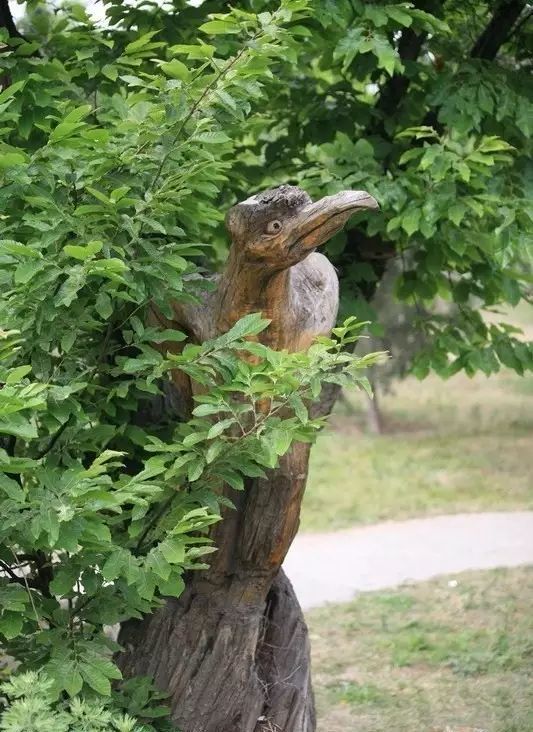 石雕|神奇的树雕艺术，大开眼界！
