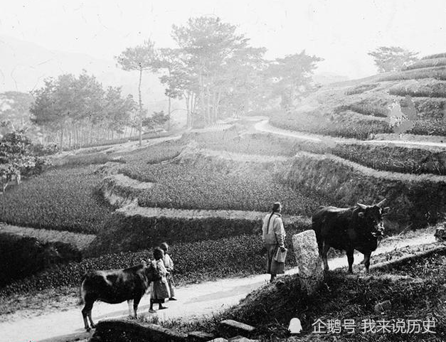 老照片:晚清時農村的真實面貌