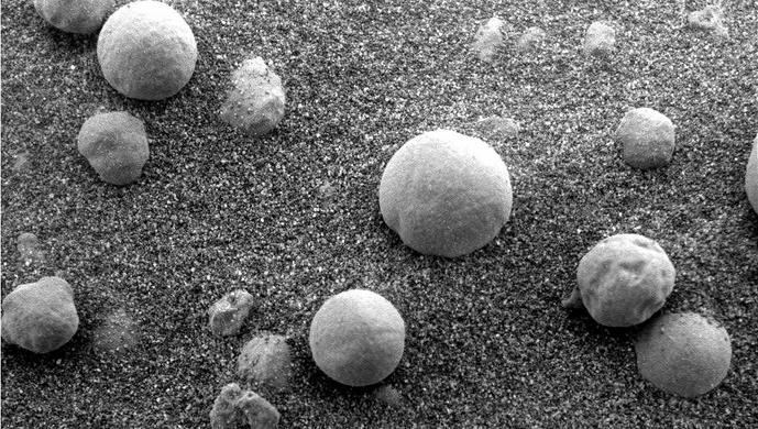 埃隆·马斯克|马斯克预言即将成真？火星曾存在生命发现关键证据