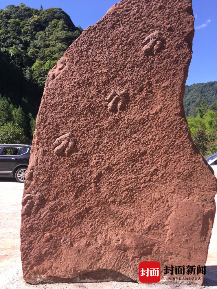 恐龙足迹化石|四川古蔺再发现一组白垩纪时期恐龙足迹化石