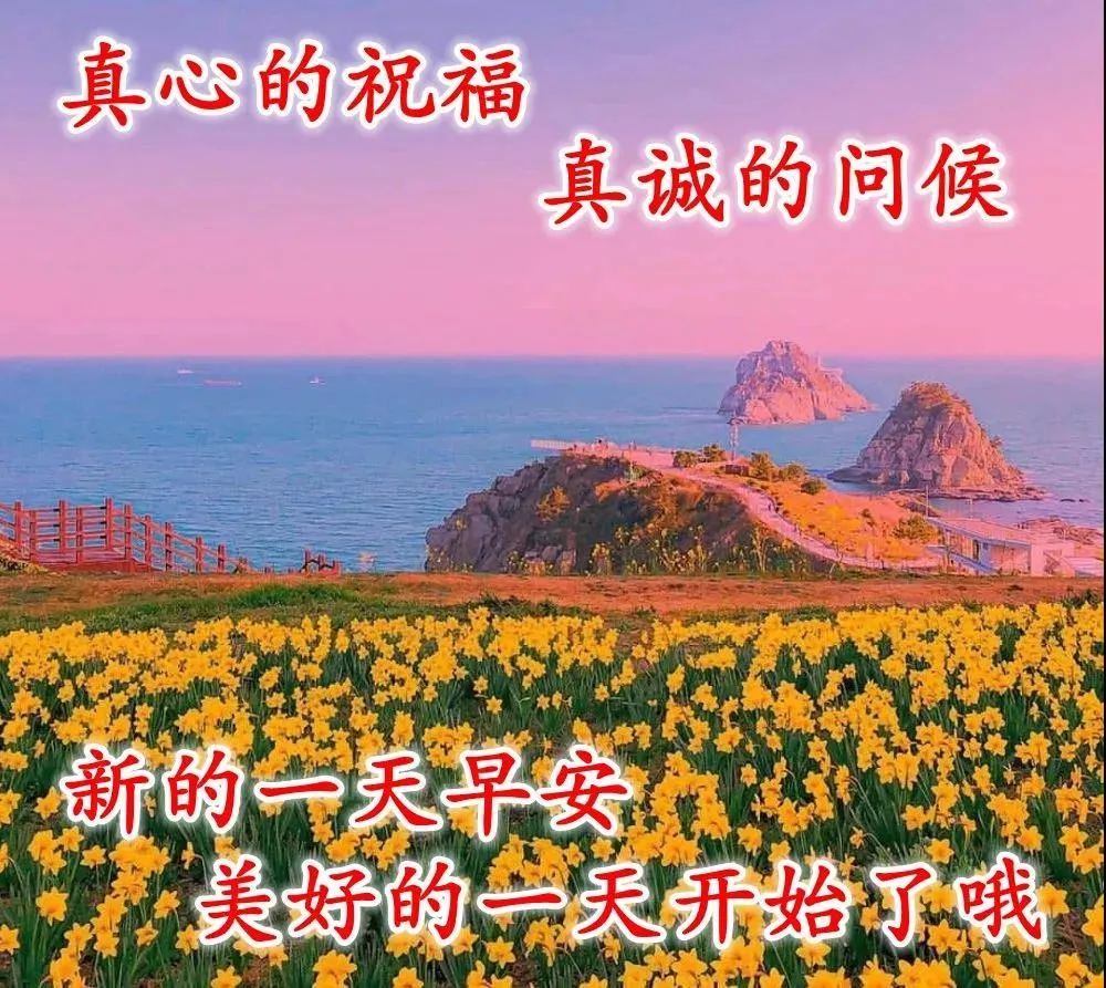 早上好圖片最新圖片風景秋季早安2021最美圖片最美早安勵志圖片帶字