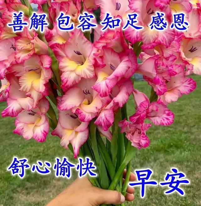 10月09日最漂亮的早上好祝福语图片温馨 清晨群发短语暧心问候动图