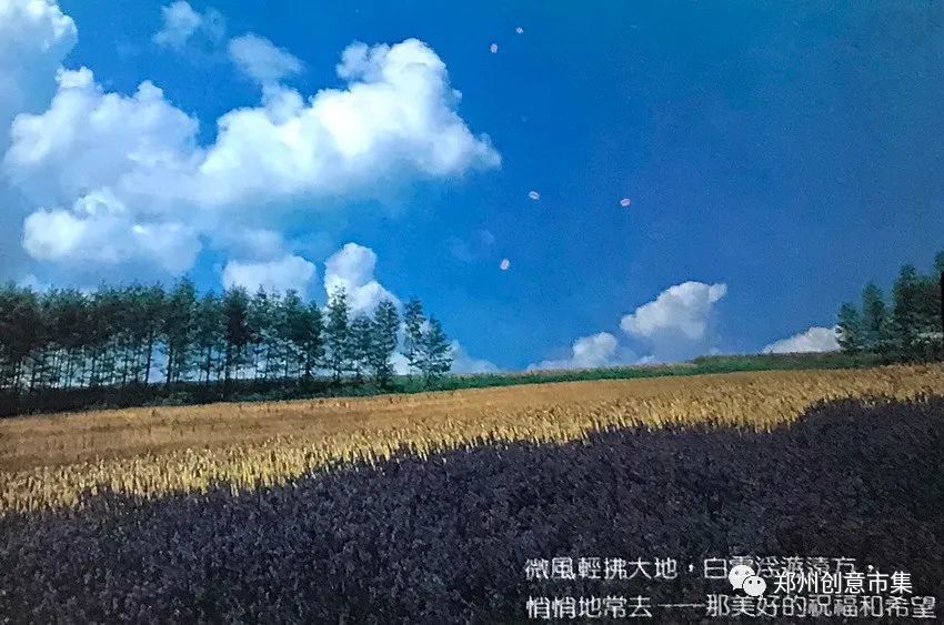 艺术作品|谱写金色乐章——风光摄影艺术作品