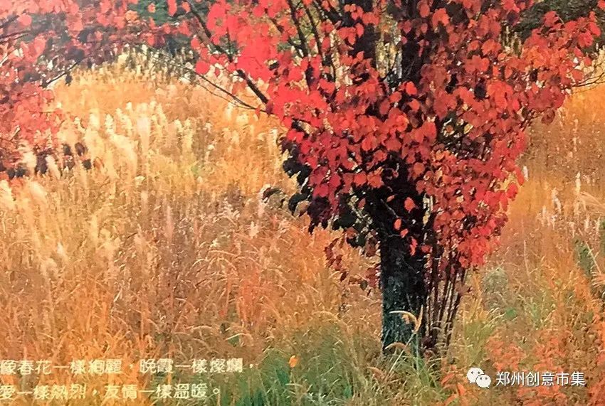 艺术作品|谱写金色乐章——风光摄影艺术作品