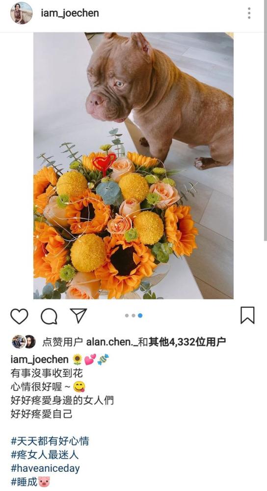 陈乔恩|艾伦为陈乔恩送七夕惊喜，自称“昌爱恩”，樱桃代替玫瑰花超浪漫