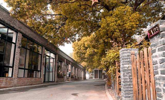 杭州的迷邓花园现实版的爱丽丝梦游仙境女孩梦想的结婚地