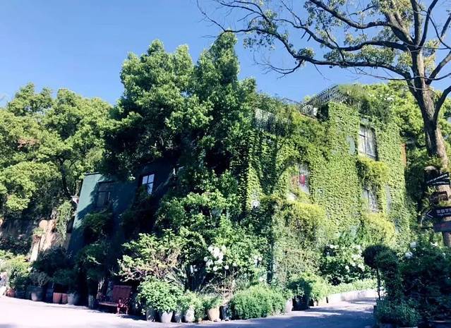 杭州的迷邓花园现实版的爱丽丝梦游仙境女孩梦想的结婚地