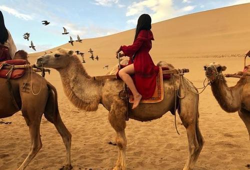 直辖市|我国面积最大的乡镇，比三大直辖市相加还大，人口却不如一个小区