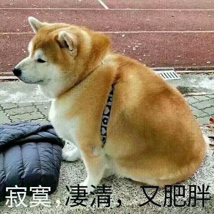 沙雕又可爱的朋友圈文案124.