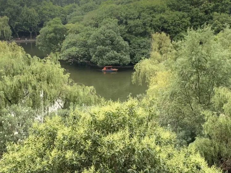 江南|江南诗韵——游伟教授绝句选辑
