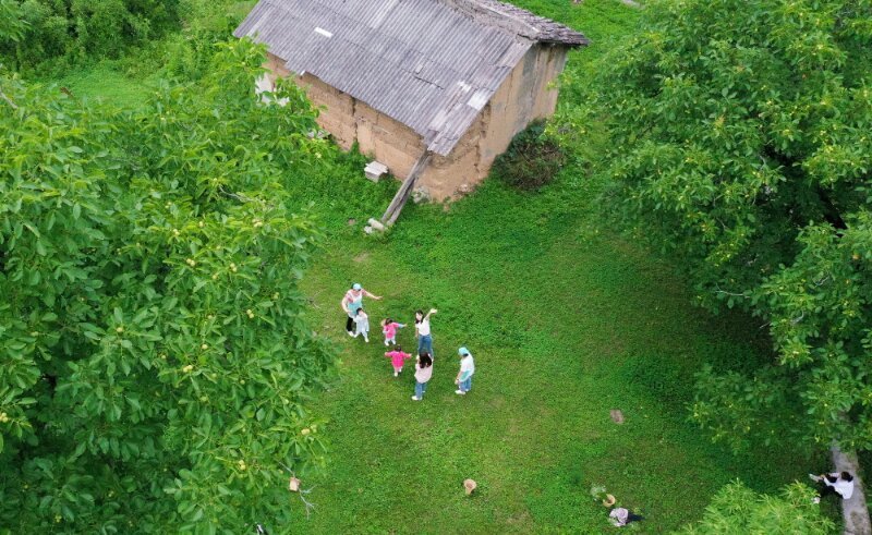 民宿|暑假民宿“满血复活”？后疫情时代谁能脱颖而出