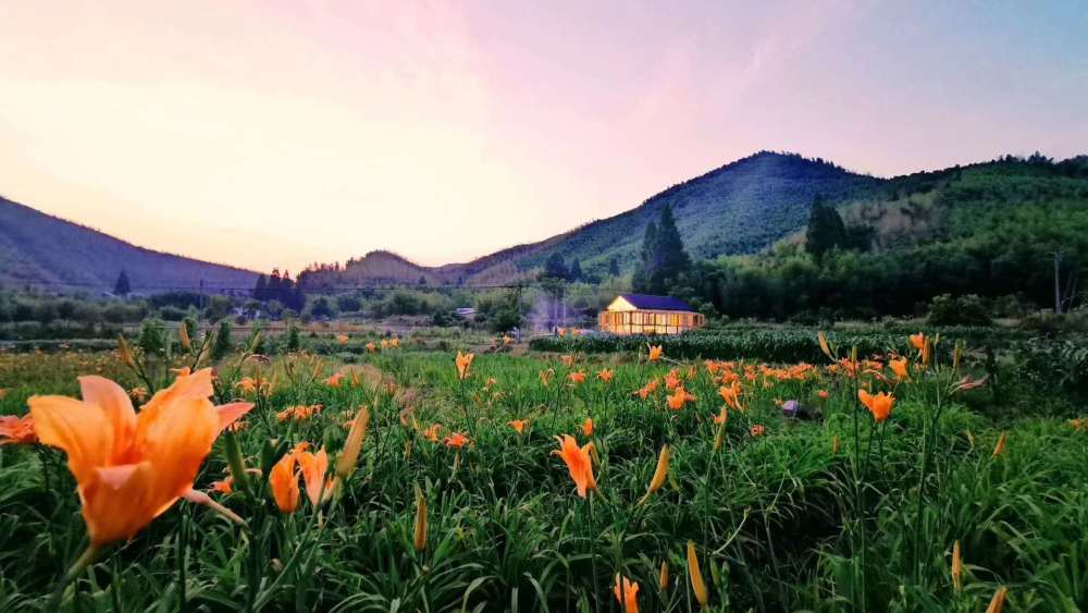 民宿|暑假民宿“满血复活”？后疫情时代谁能脱颖而出