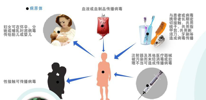 乙肝|检查乙肝五项二五为阳性，公务员考试体检能过吗
