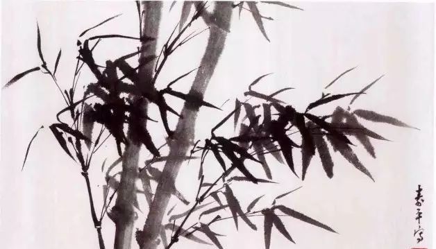竹子|初学者画竹，应注意哪些细节？