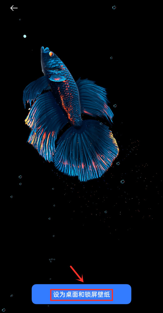 一个非常神奇的手机桌面有一条鱼在游来游去还能跟你互动