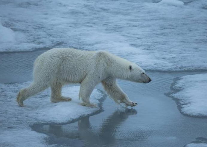地球|地球正在发生巨变，多地气候出现异常，远古病毒蠢蠢欲动