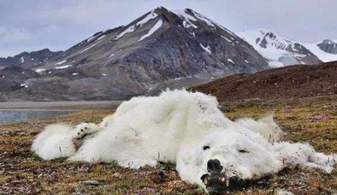 地球|地球正在发生巨变，多地气候出现异常，远古病毒蠢蠢欲动