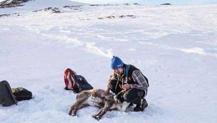 地球|地球正在发生巨变，多地气候出现异常，远古病毒蠢蠢欲动