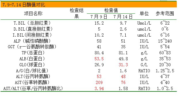 乙肝表面抗体|乙肝五项二四五阳性什么意思
