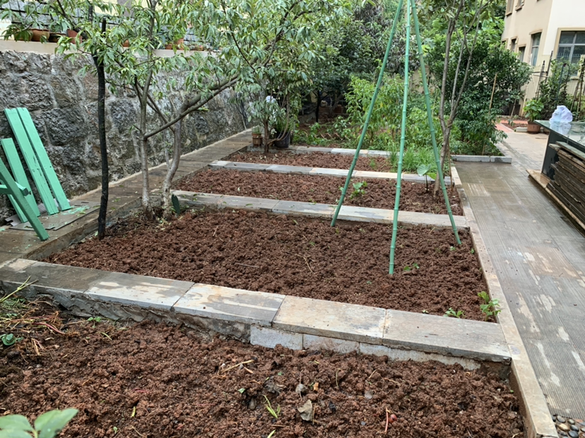 阳台种菜|阳台种菜要规划好，才能看起来干净整洁，光用泡沫箱不行