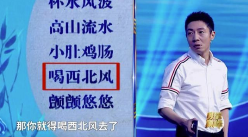 撒贝宁|学霸撒贝宁也“翻车”！“最不像成语的成语”了解一下