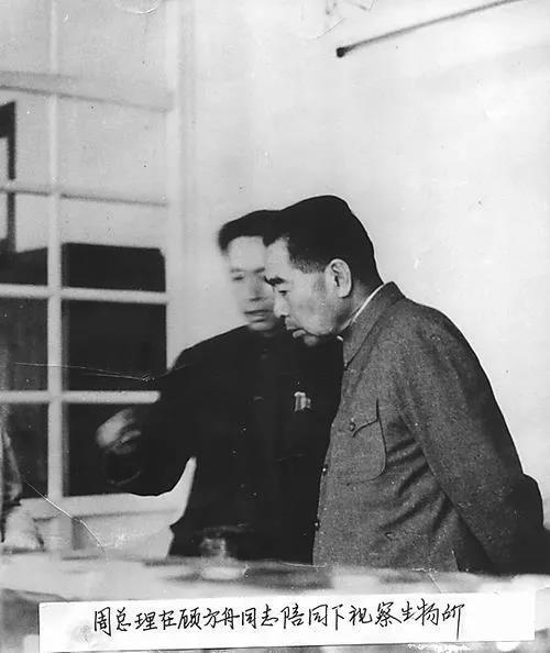 小儿麻痹症|非洲成功消除小儿麻痹症，你还记得“糖丸”爷爷吗？