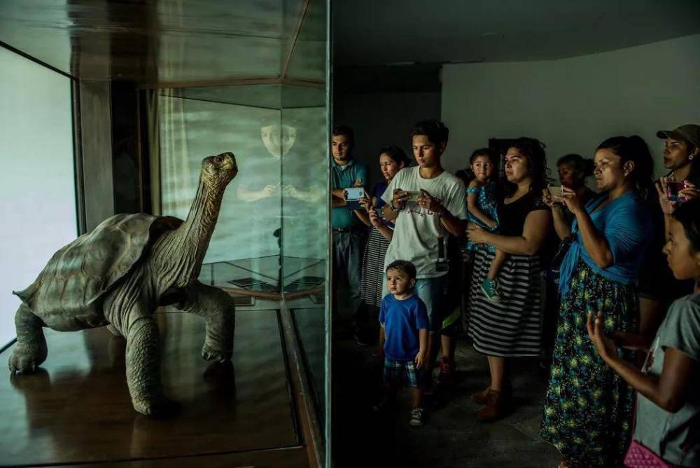 回交|人类为什么要让动物回交？回交有伦理道德吗？