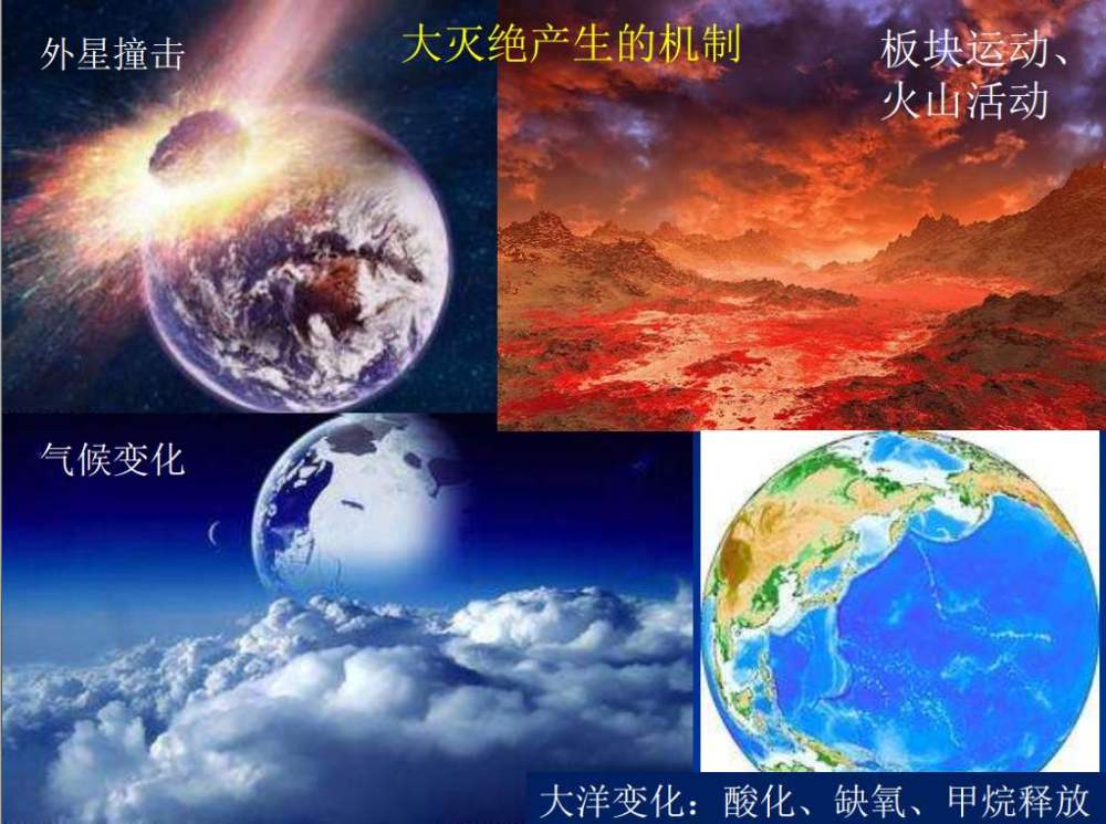 月球|50年前遗留在月球的排泄物，为什么会成为NASA眼里的宝贝？