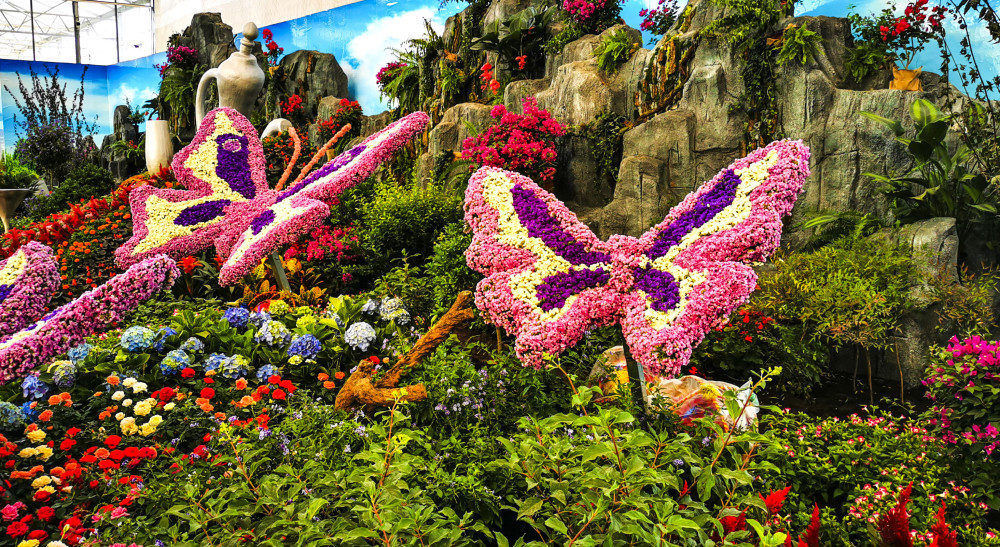 定了第六届济南花卉园艺博览会9月28日在商河开幕