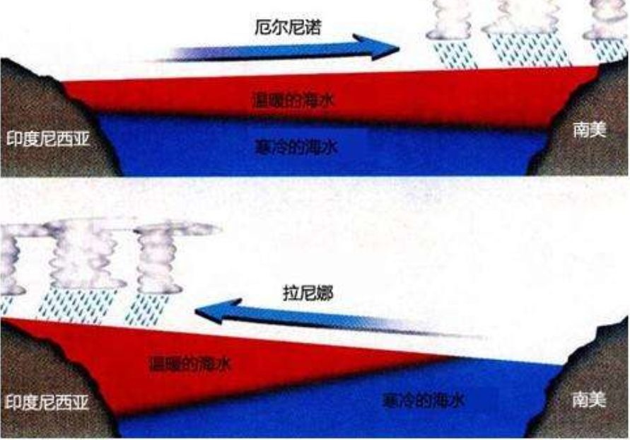 拉尼娜|2020年拉尼娜现象或酝酿中！今年是“极寒”冬天？冷得发抖？