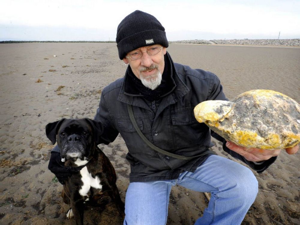 鲸鱼|鲸鱼的排泄量巨大，为什么还有这么大的价值？