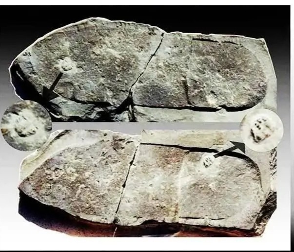 科学家|科学家发现数亿年前不该存在的东西，人类是否要警惕？