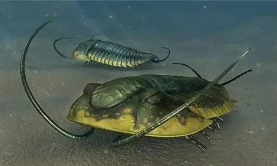 科学家|科学家发现数亿年前不该存在的东西，人类是否要警惕？