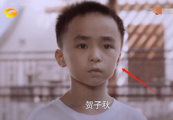 以家人之名:贺子秋见贺梅,经典回忆涌上心头,观众