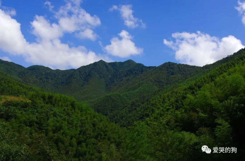 叶绍翁|叶绍翁一首高水平之作，通篇写得很美，同样达到了诗中有画的境界