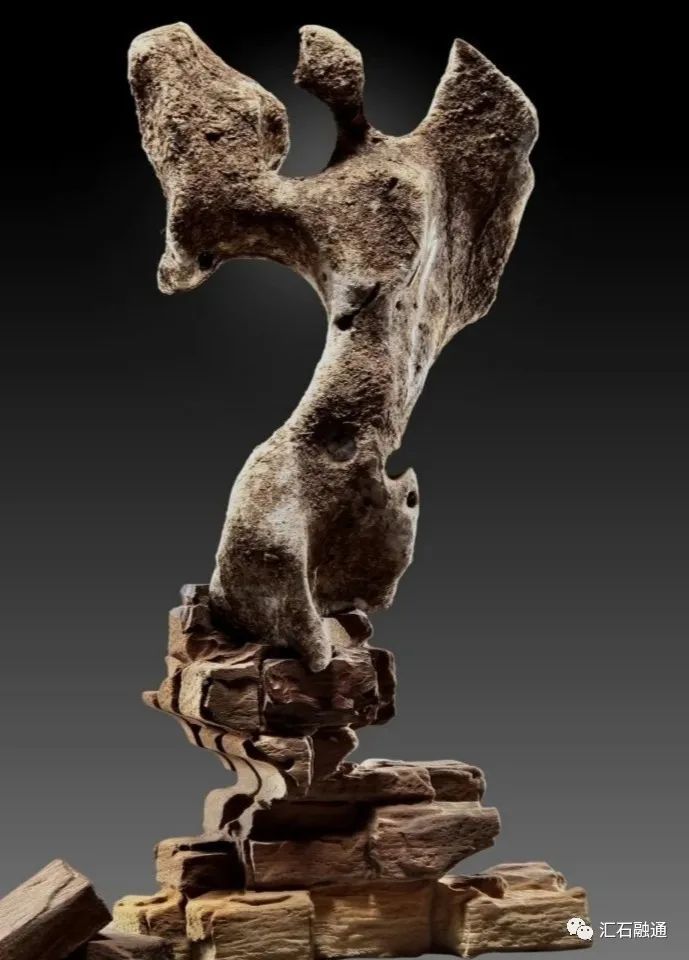 赏石|张卫：你有好石