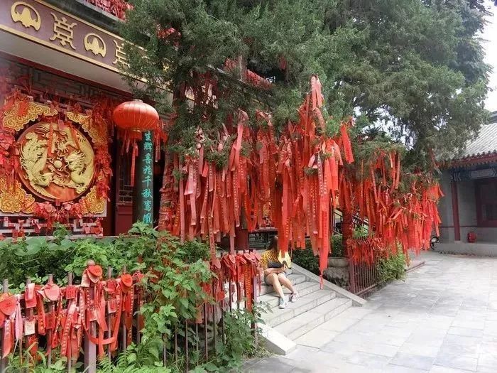 景点|当地人：这些旅游景点根本不值得去！