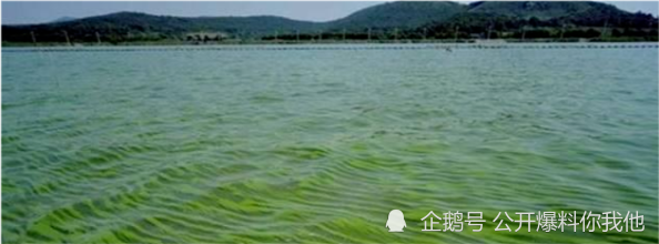 地球|地球发生过3次大冰期，曾冰层厚度超300米