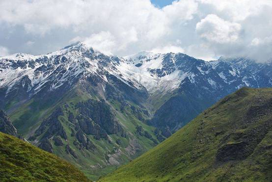 地球|这种兔形生物的再次出现引起热议，学者警醒：人类应该重视起来了