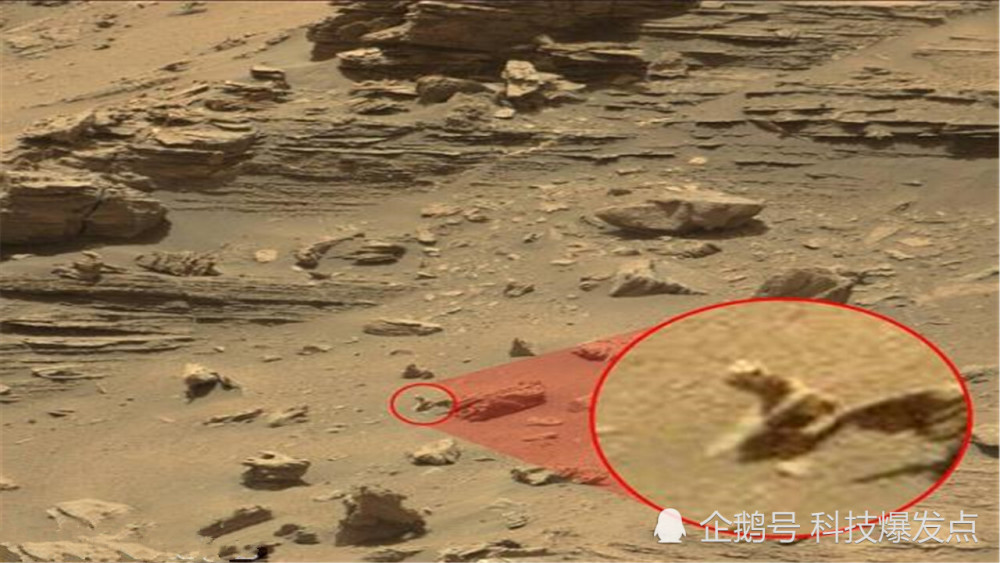 火星|火星上有真菌存在？UFO猎人在好奇号照片中，发现“蘑菇状”物体！