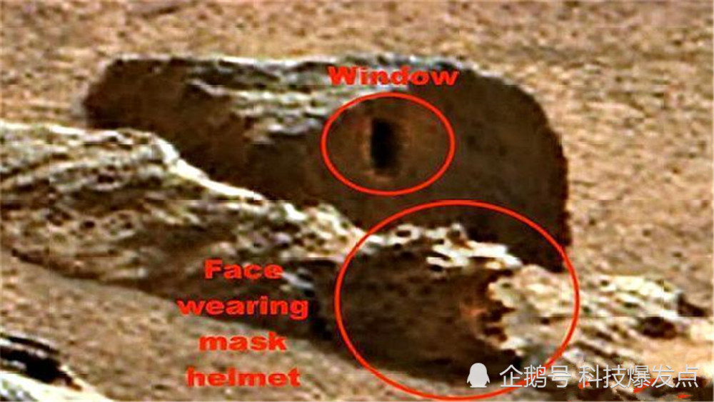 火星|火星上有真菌存在？UFO猎人在好奇号照片中，发现“蘑菇状”物体！