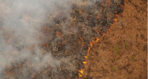 北极圈|地球危险了？北极圈着火了，冰川融化恐将复活远古病毒