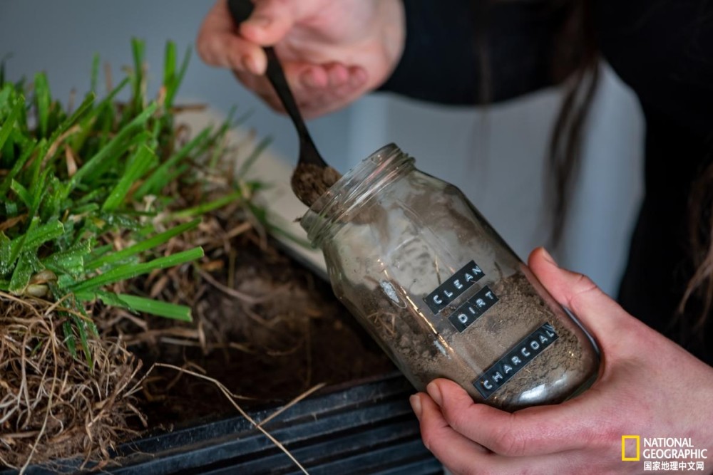 新冠疫情|新冠疫情下，如何在家照顾小袋熊