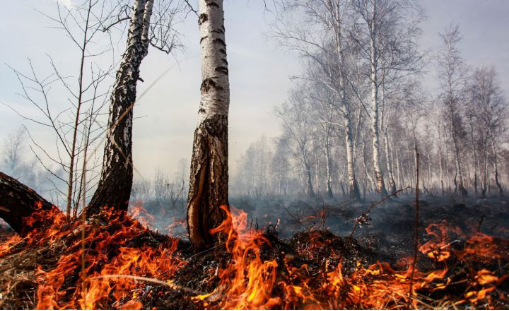 北极圈|地球危险了？北极圈着火了，冰川融化恐将复活远古病毒